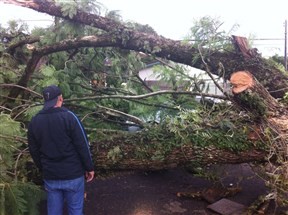 Temporal provoca destruição na zona norte em Maringá